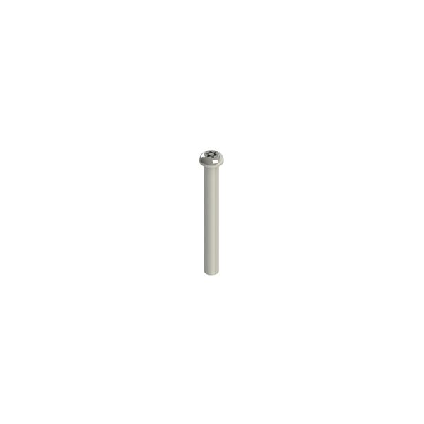 Stainless steel security screws image 1