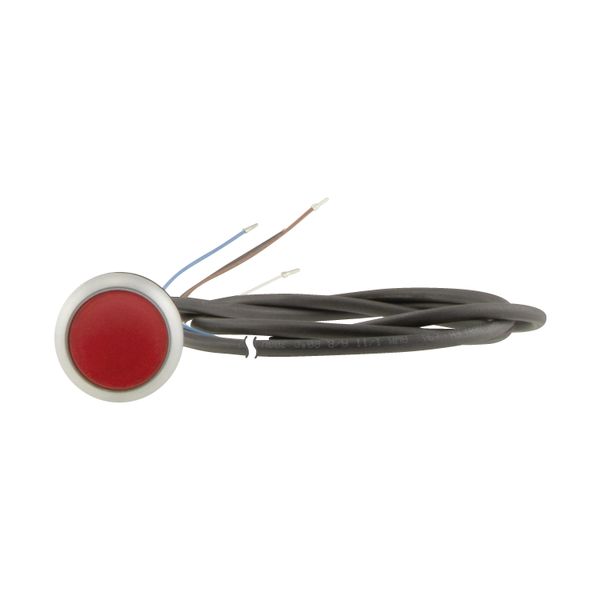 C22-DRL-R-K01-24-P62 Illuminated pushbutton actuator, classic, flat, maintained, 1 N/C, red, 24 V AC/DC, cable (black) with non-terminated end, 4 pole, 1 m image 8