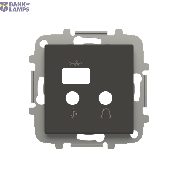 Cover pl i/o + USB module image 1