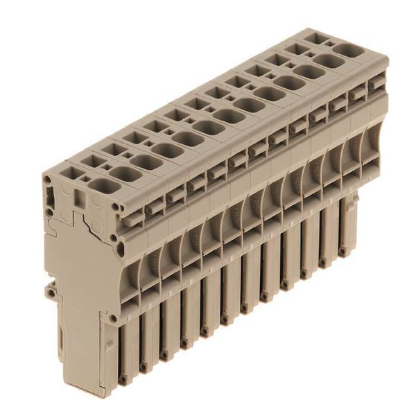 Z-series, Plug-in connector, beige, Direct mounting image 1