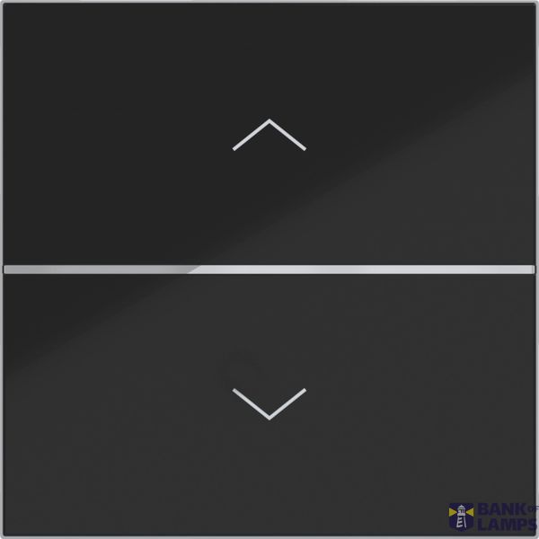 Push button cover, single, arrow, A.x/C.x,A.x/C.x night black glass image 1