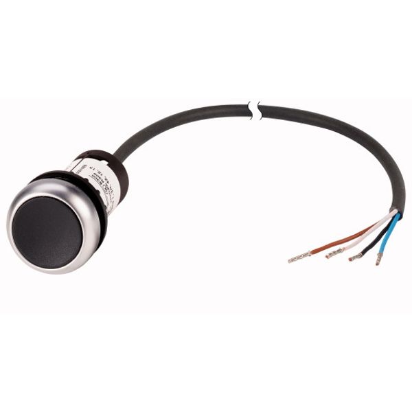 C22-D-S-K01-P62 Pushbutton, Flat, momentary, 1 NC, Cable (black) with non-terminated end, 4 pole, 1 m, black, Blank, Bezel: titanium image 1