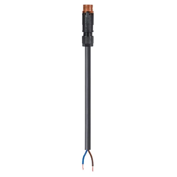 CABLE ASSEMBLY RST16I2KS-S 15P L10BR image 1