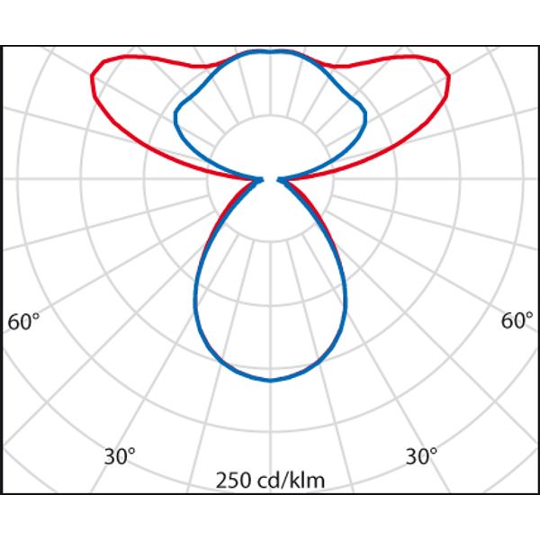 SL713+PL RXL 61 S/C 830 WIT BT MP image 8