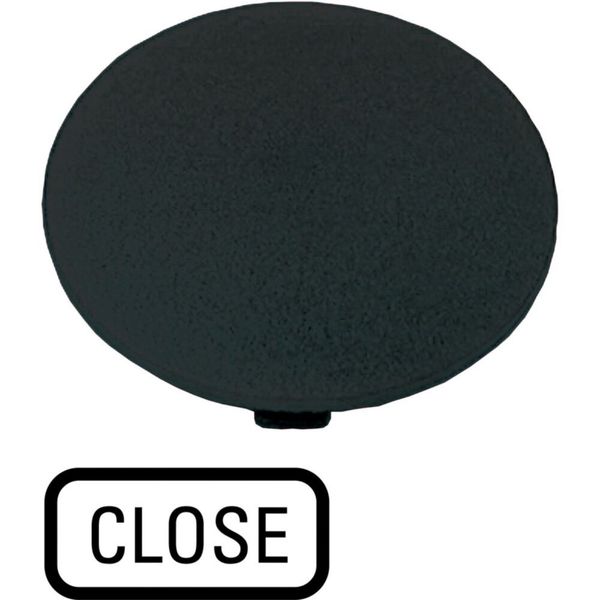M22-XDP-S-GB2 Button plate, mushroom black, CLOSE image 6