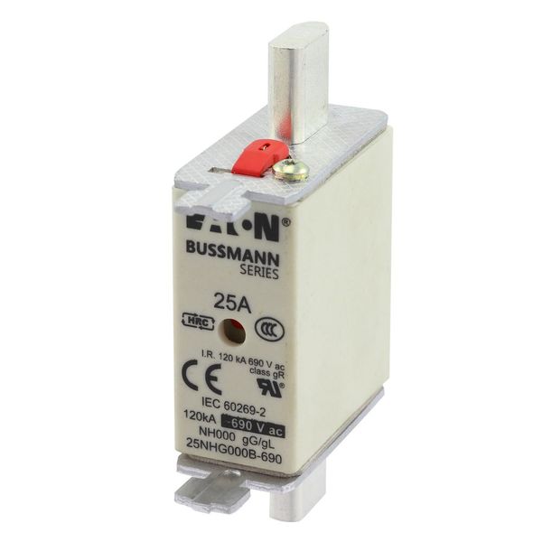 Fuse-link, LV, 25 A, AC 690 V, NH000, gL/gG, IEC, dual indicator, live gripping lugs image 10