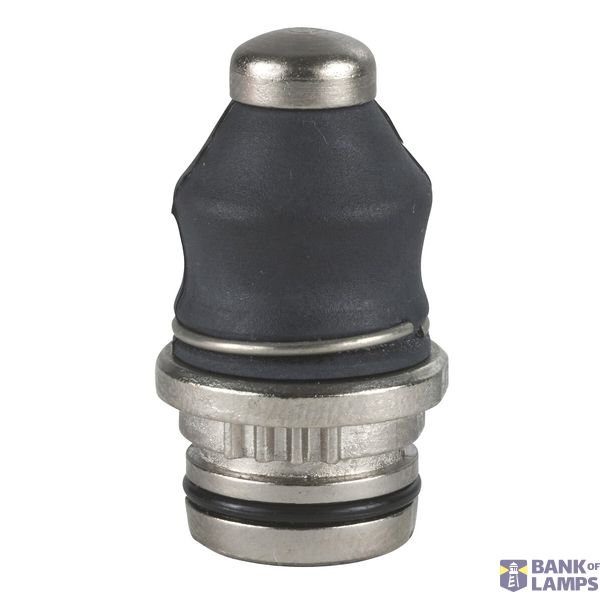 HEAD FOR LIMIT SWITCH STAINLESS STEEL ROLLER PLUNGER FOR SEA (CT à 100 image 44