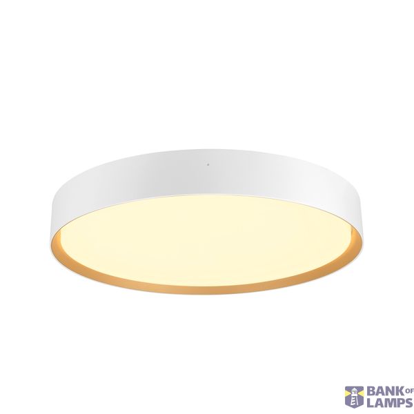 DECONA 42 PHASE 3000/4000K White/Gold image 1