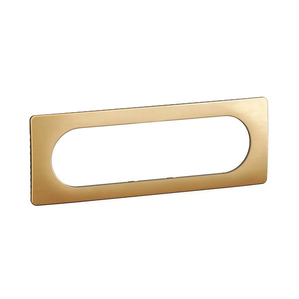 PLATE 3G LARGE SATIN BRASS image 1
