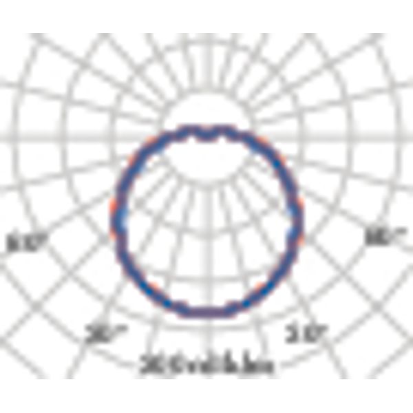 CHIP TONDO 25 LED 830 WIT 11,5W image 4