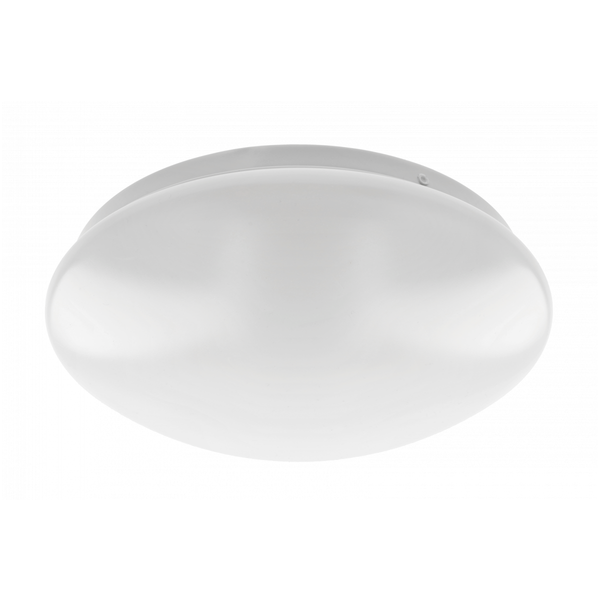 LED luminaire ASTRA, 12 W, 960 lm, 4000K, AC180-250V, PF>0.5, IP54, Ø255 mm image 1