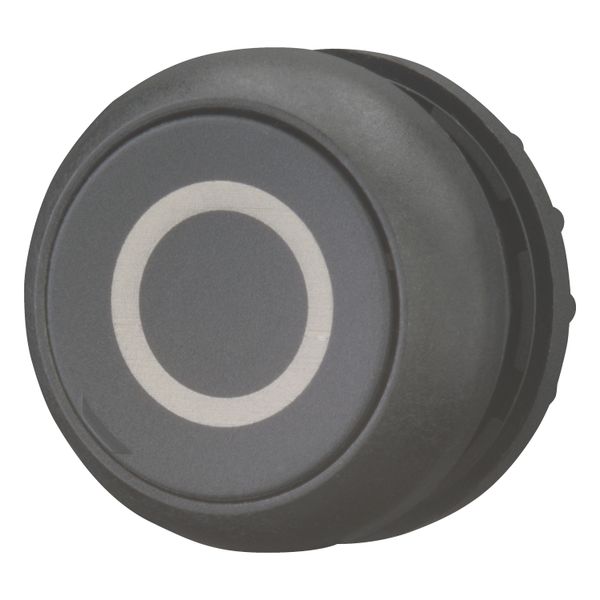 M22S-D-S-X0 Pushbutton, RMQ-Titan, Flat, momentary, black, inscribed, Bezel: black image 9