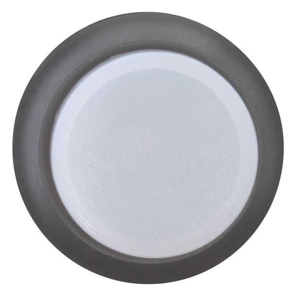 M22S-DRLH-W Illuminated pushbutton actuator, RMQ-Titan, Extended, maintained, White, Blank, Bezel: black image 4