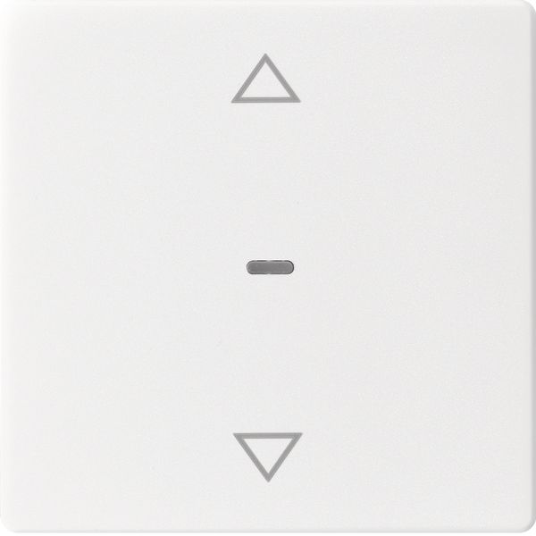 Cover arrow for 1gang for push-button m, clearlens, Q.1/Q.3, p. white image 3
