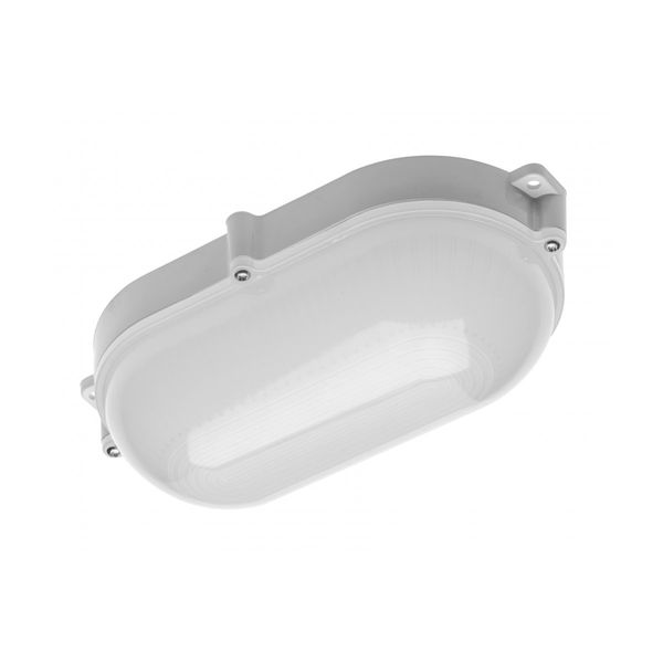 LED luminaire LUXIA, 10 W, 700 lm, 4000K, AC220-240V, IP65, 220°, oval image 1