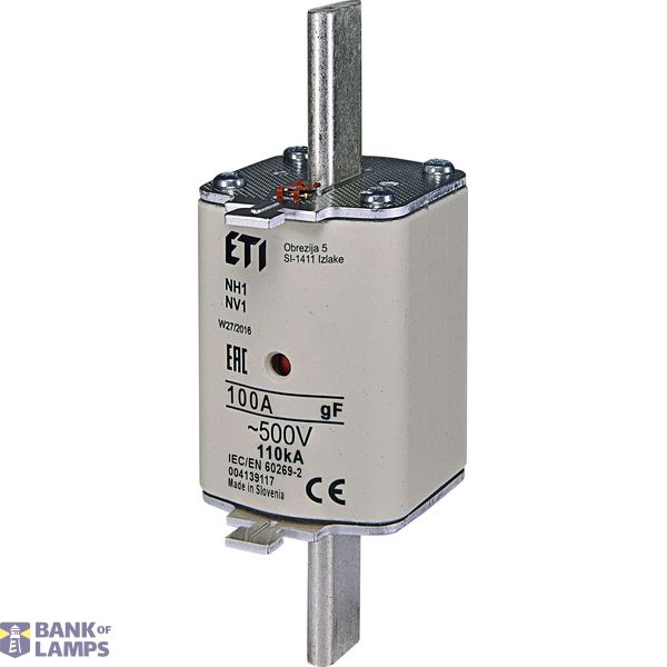 NH1/WT-1 gF 100A/500V image 2