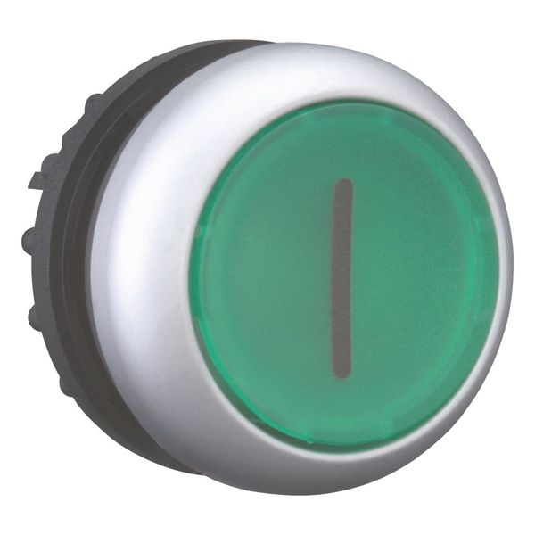M22-DRL-G-X1 Illuminated pushbutton actuator, RMQ-Titan, Flush, maintained, green, inscribed, Bezel: titanium image 13