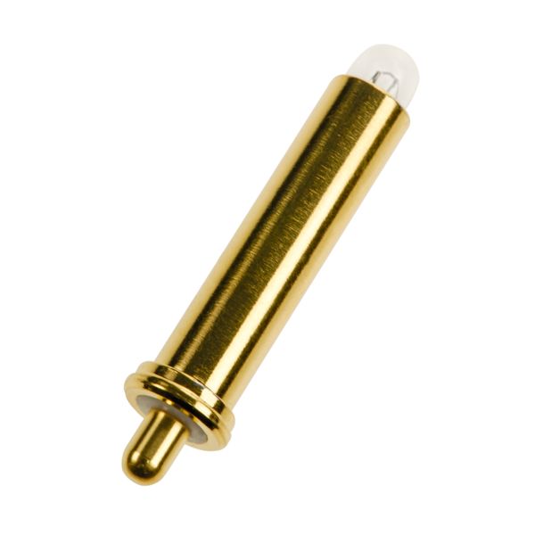 Heine 2.5V Beta 200 Halogen image 1