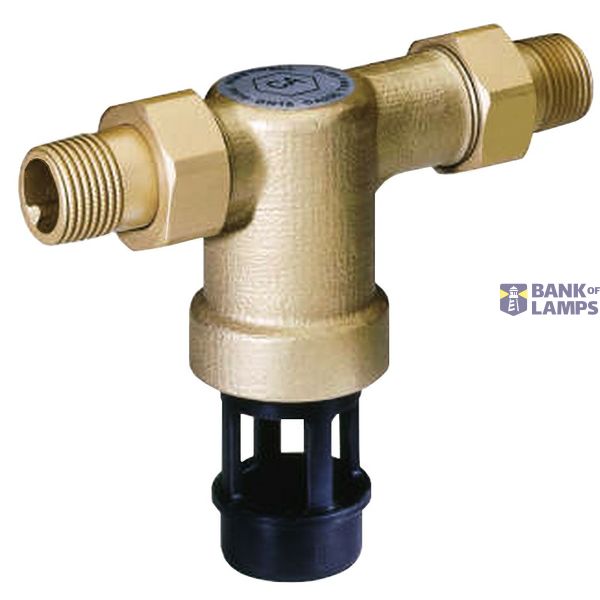 Check valve with protection 3/4" K3 t.CA image 1