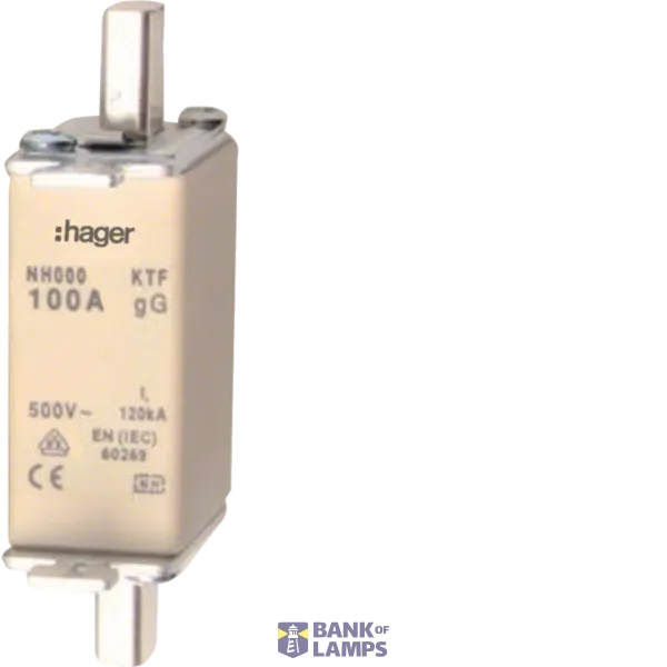 NH Fuse Insert 100A GG, 500VAC LNH00100T image 1