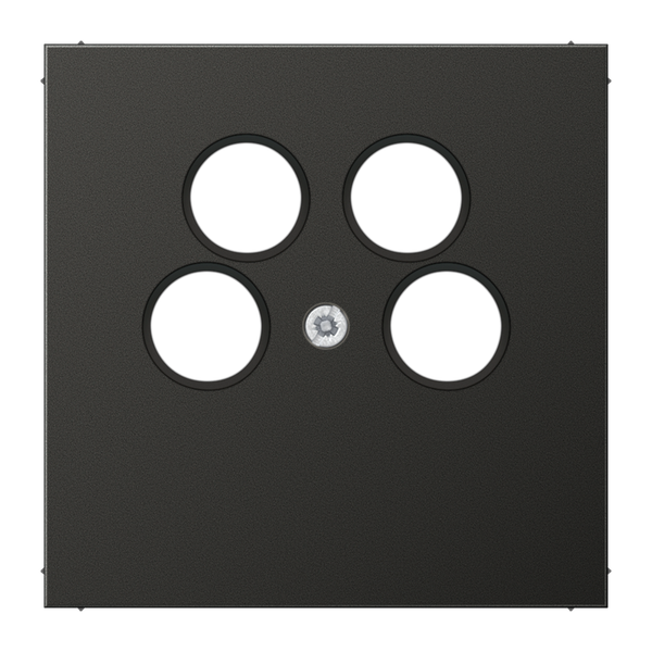 Centre plate AL2990-4SAT2AN image 2