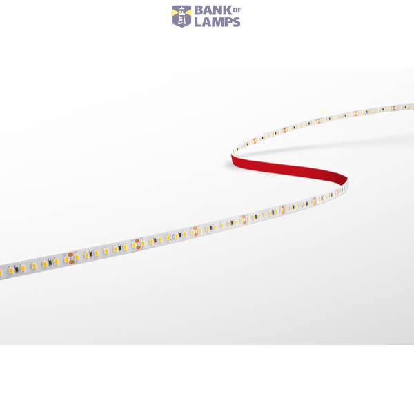 STRIP LED ACCENTO PRO image 1