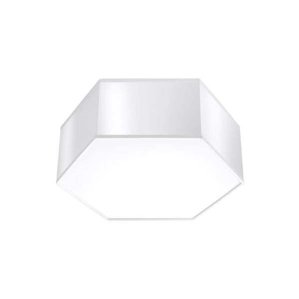 CEILING LAMP SUNDE 11 WHITE E27 2X60W IP20 image 1
