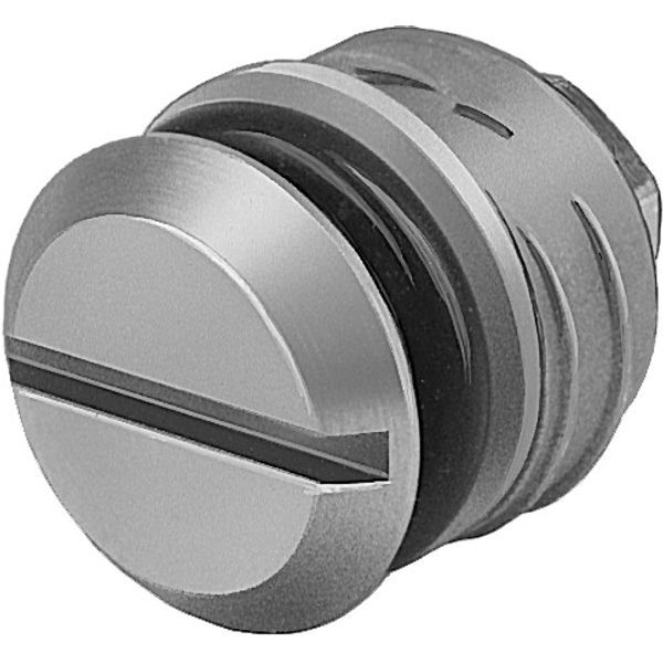PRSV-1/4 Sealing plug image 1