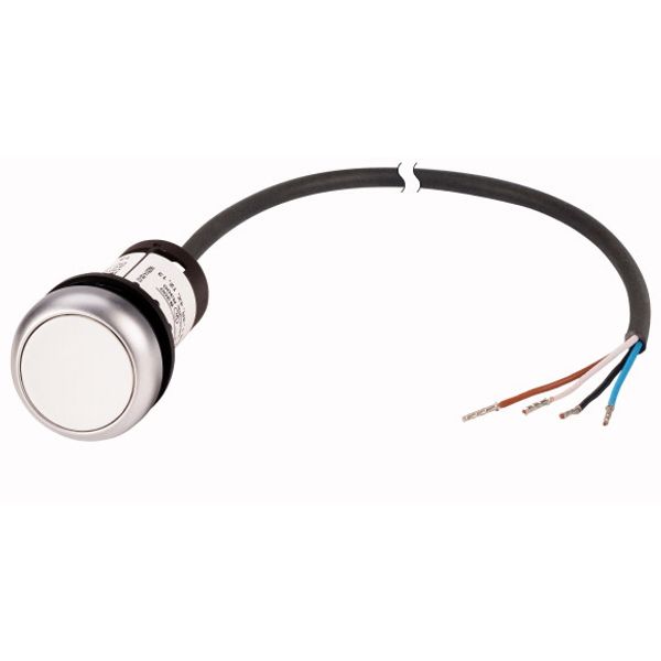 C22-DR-W-K10-P65 Pushbutton, classic, flat, maintained, 1 N/O, white, cable (black) with non-terminated end, 4 pole, 3.5 m image 1