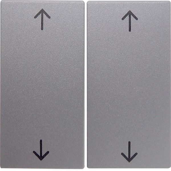 Rocker 2gang imprinted arrows symbol, B.7, al., matt, lacq. image 1