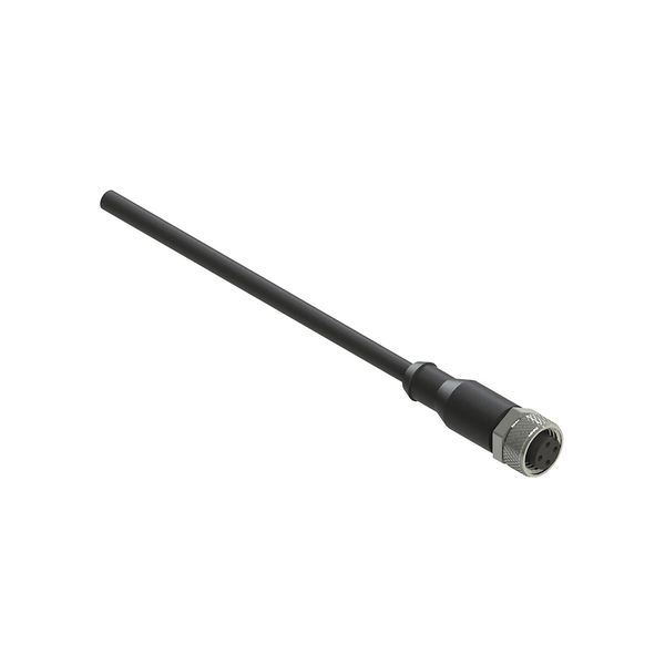 M12 female wired connector: straight, 4 poles, 10 m cable, cable sheath PVC image 1