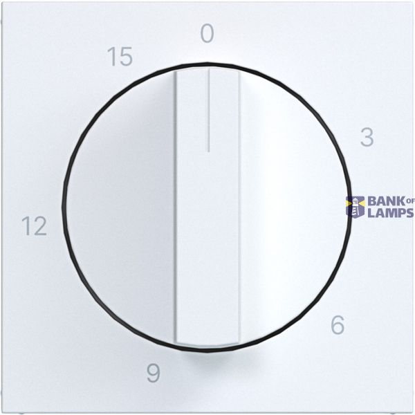 Central plate for mechanical time switch 0-15 min., A.x/C.x, matte white image 1