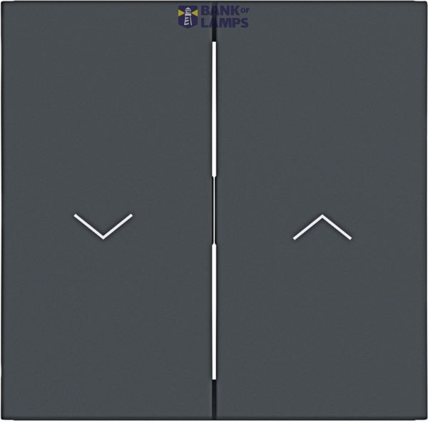 Double seesaw, with single arrow symbol printed on it, A.x/C.x, anthracite image 1