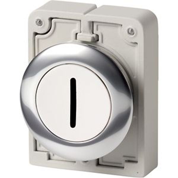 M30C-FD-W-X1 Pushbutton, RMQ-Titan, Flat, momentary, White, inscribed, Metal bezel image 2