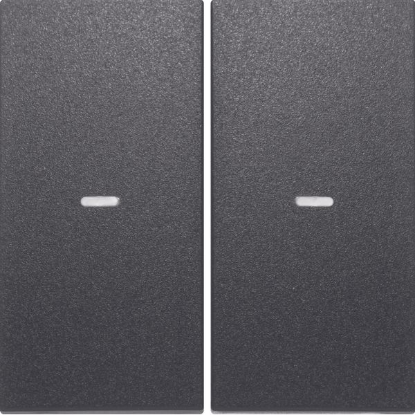 Cover for 2gang for push-button module, clearlenses, S.1/B.3/B.7, ant. image 1