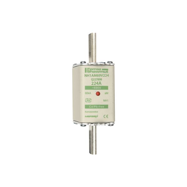 Fuse-link NH1 aM 690VAC 224A live tags Double indicator image 1