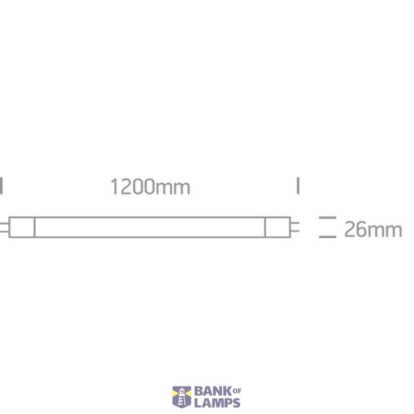 T8 GLASS TUBE 18W CW 120cm FROSTED 230V image 4