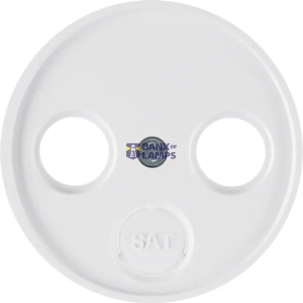 Central piece for 2- and 3-hole antenna socket R.Classic polar white, glossy image 1