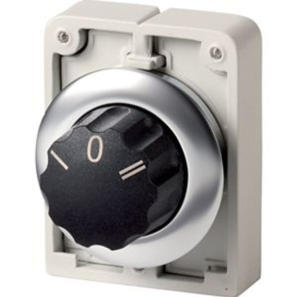 M30I-FW3 Changeover switch, RMQ-Titan, with rotary head, momentary, 3 positions, inscribed, Front ring stainless steel image 2