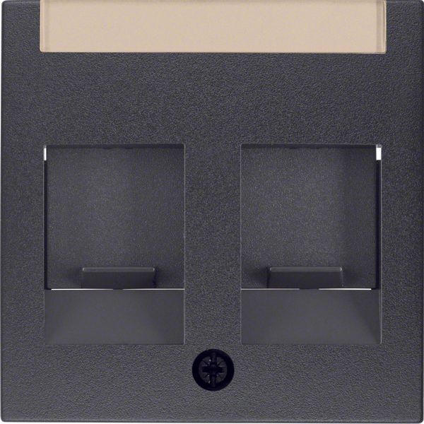 Centre plate 2 dust prot. sliders, lab. field, B.3/B.7, ant., matt image 1