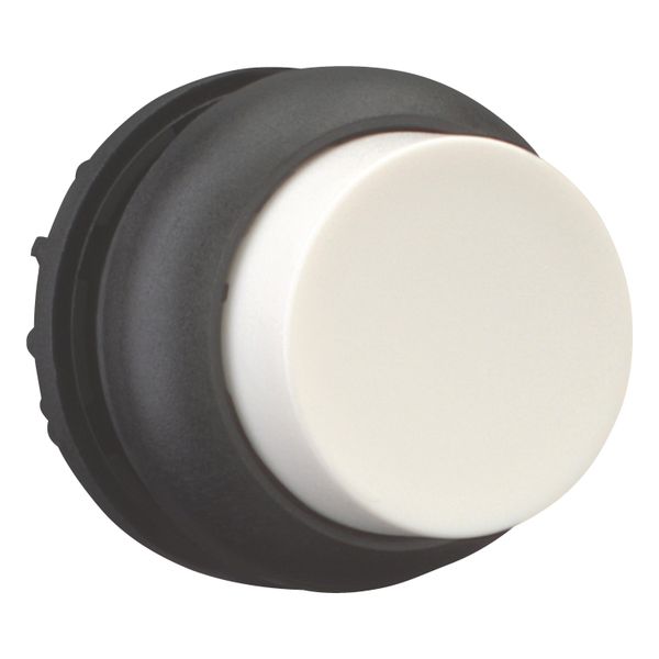 M22S-DH-W Pushbutton, RMQ-Titan, Extended, momentary, White, Blank, Bezel: black image 8