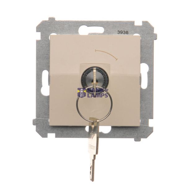 Momentary single switch with a key (module) 2 positioned "0-I",
butt N/O, 5 A, 250 V~. The removable in 0 position.; cream image 1