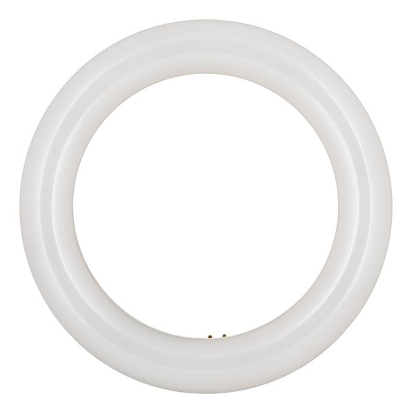 ecobasic LED Circular G10q 11W 4000K Opal image 1