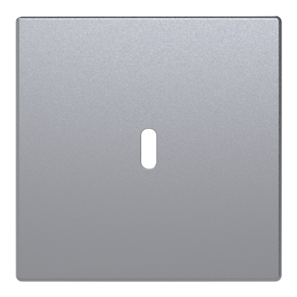 Central disc USB-C power adapter insert 65W image 1