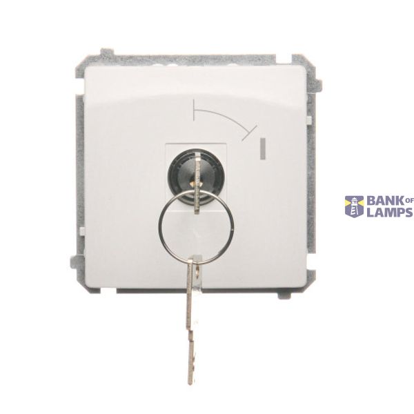 Momentary single switches with key - two positions ''0-1'', white, 5A image 1