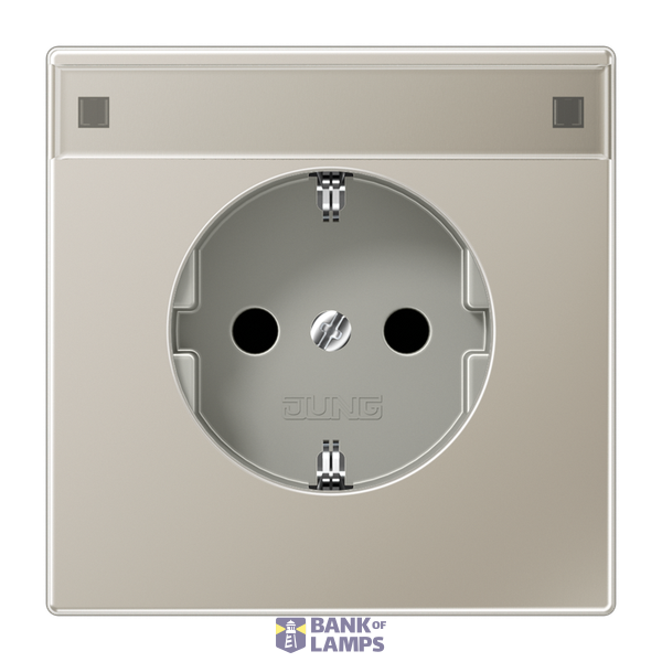 SCHUKO socket, 16 A 250 V ~, integrated increased contact protection, SAFETY+, LS series, stainless steel image 1
