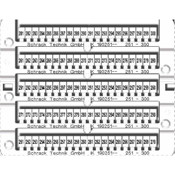 Marking tags 251-300 (each 2x) image 1