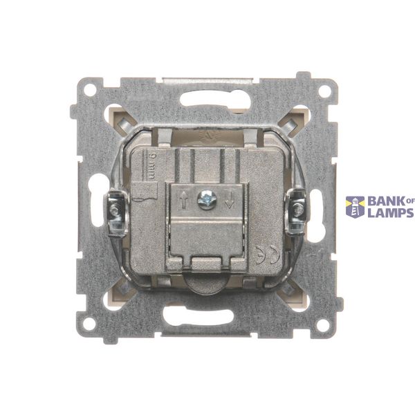 Two-pole switch, (module), 10AX, quick connection, Bronze matt, metalic image 1