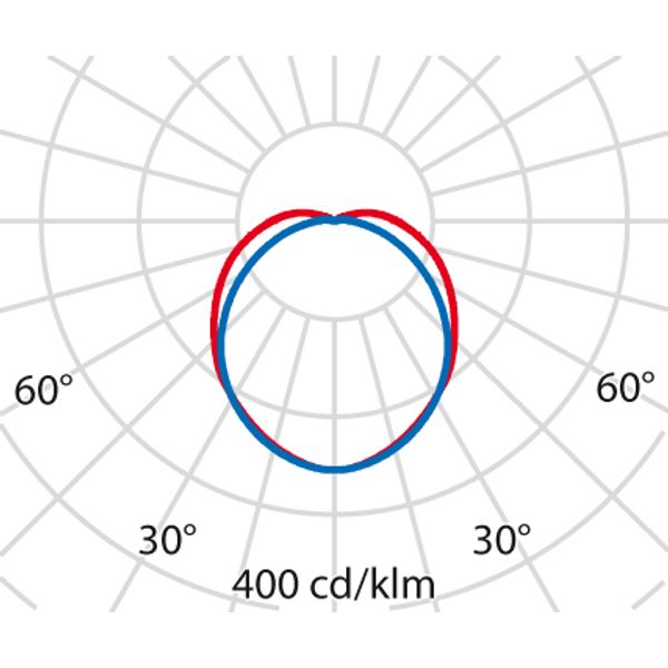 BLIZ OVAL 21 S/EW 830 WIT image 5