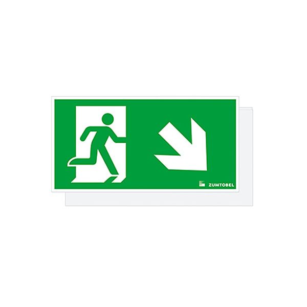 CROSSIGN 110 SP1-E002-DR - Escape sign image 1